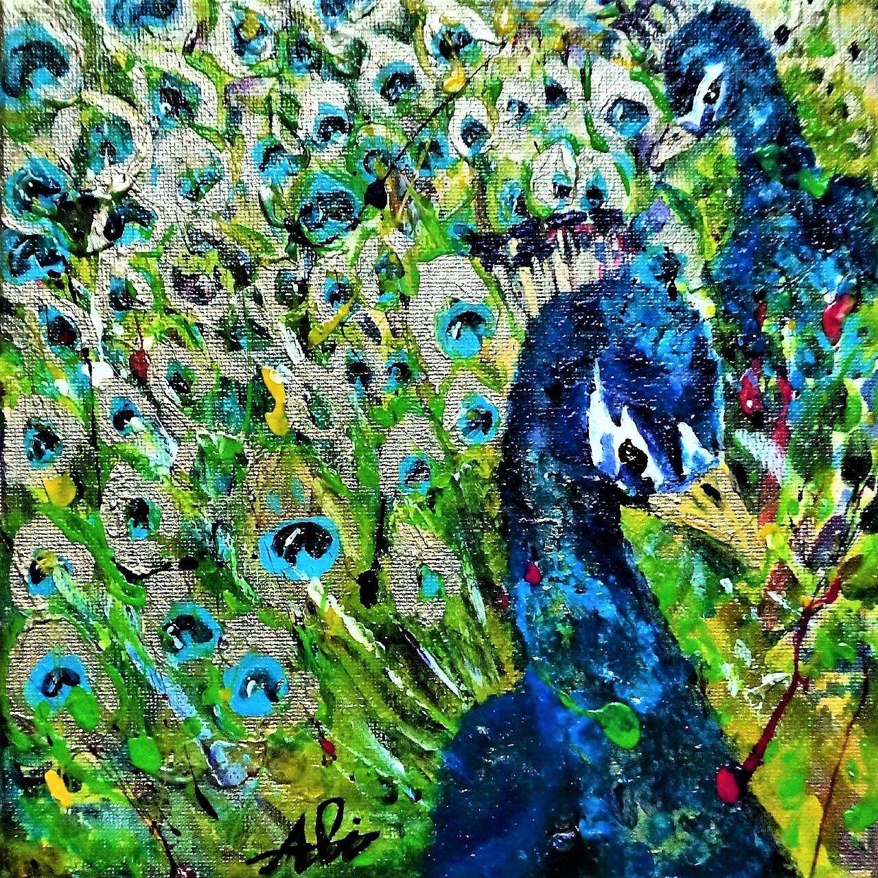 Peacocks by Ali Mahmoud